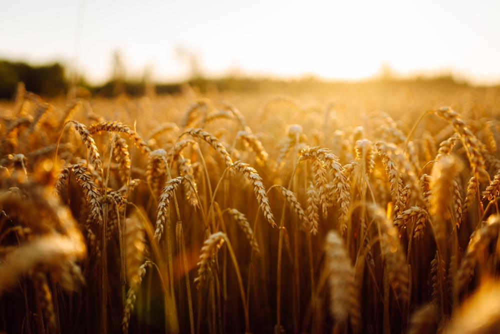 Instalaciones TIRADENTES